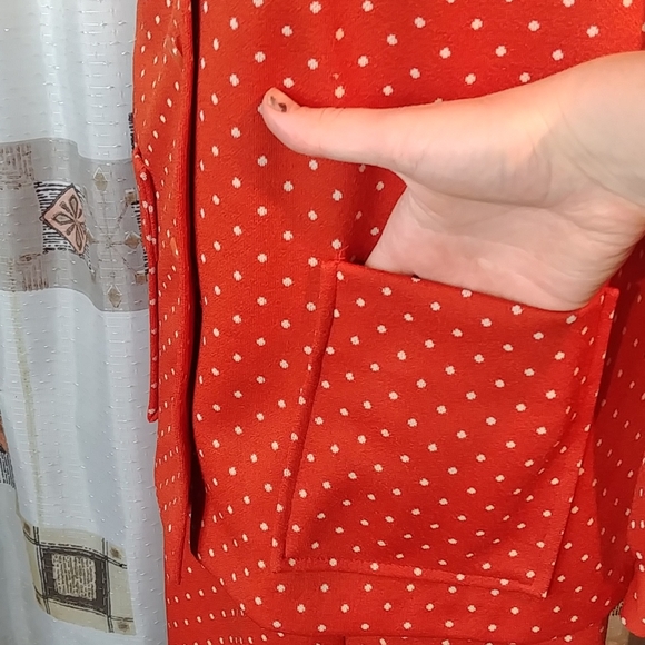 Vintage Pumpkin dress and jacket set - Picture 4 of 13